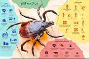 هشدار در مورد شیوع تب خونریزی‌دهنده کریمه کنگو در فصل گرما